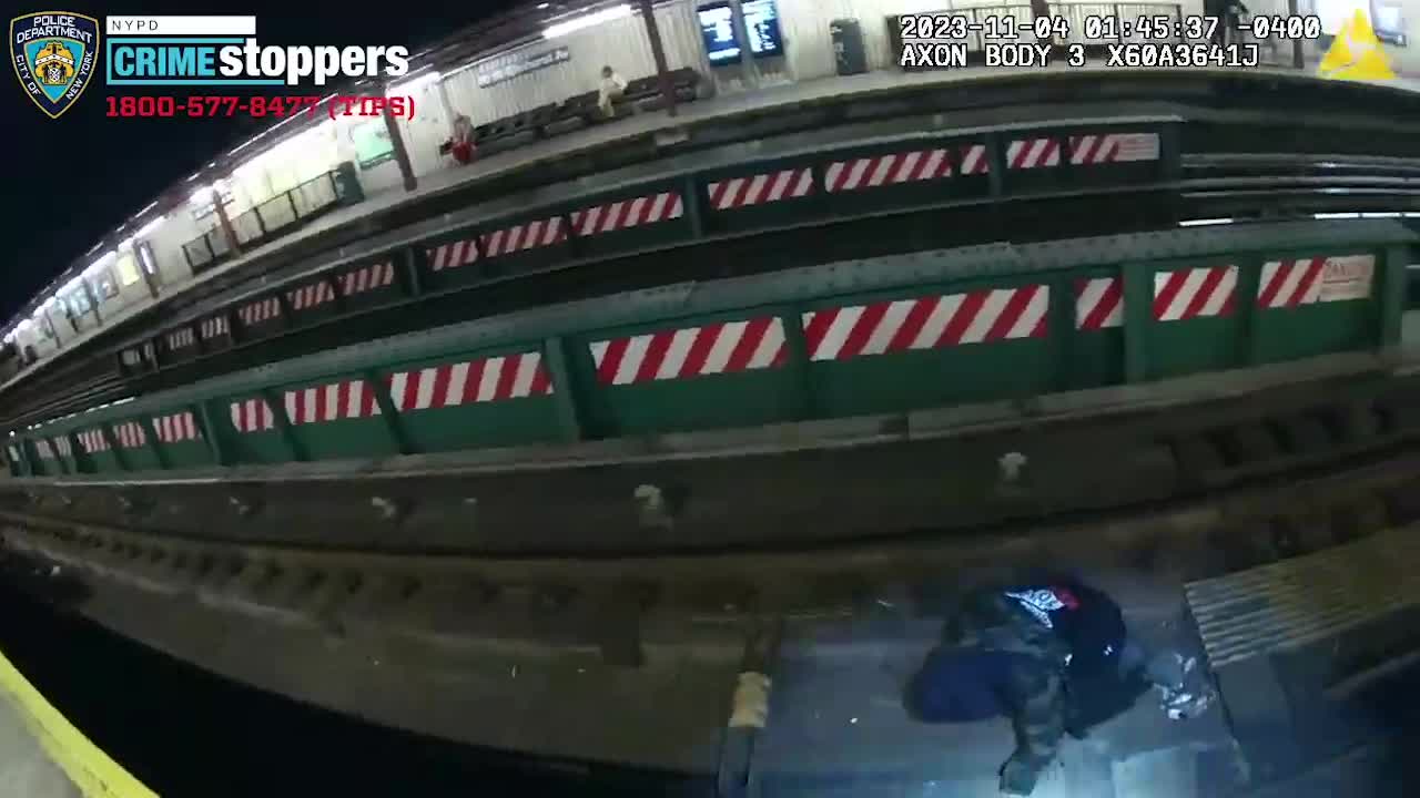 Officers save straphanger who fell onto tracks