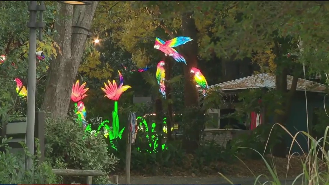 Zoo Atlanta's IllumiNights sneak preview