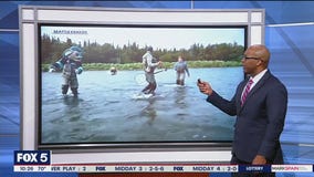 NHL mascot's close encounter with bear