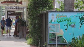 Cedar Key embodies old Florida