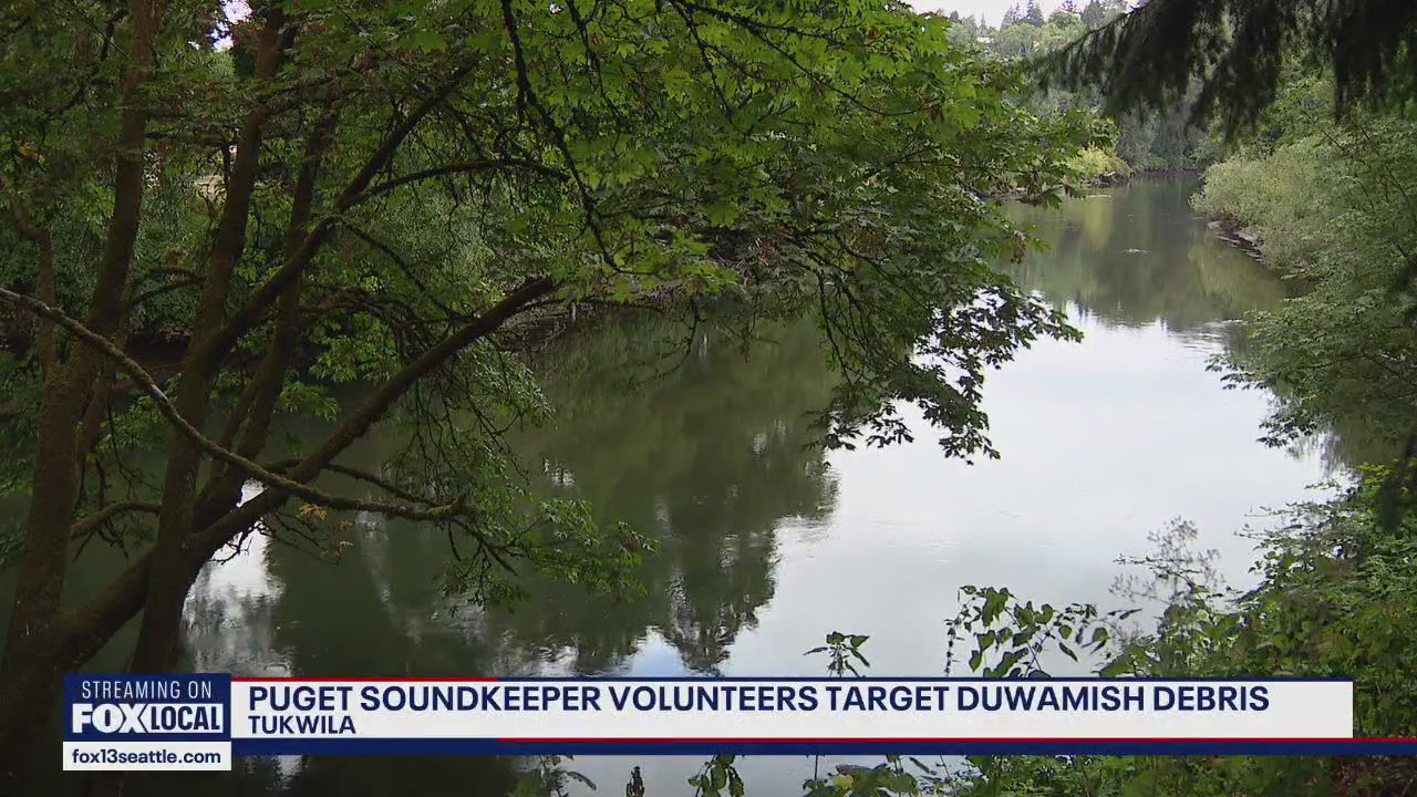 Volunteers tackle Duwamish river pollution