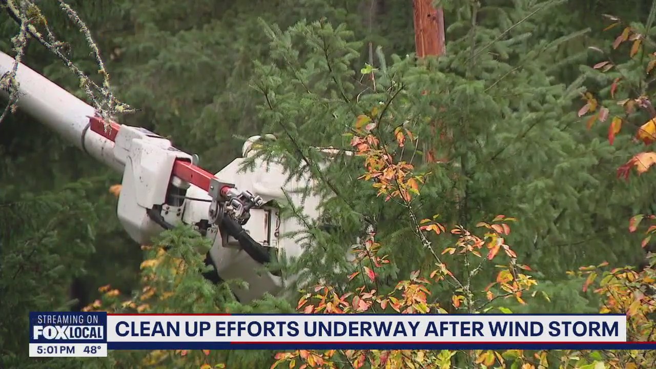 Cleanup efforts underway after storm causes widespread damage and power outages