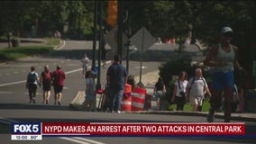 Central Park attacks leave two men injured, police say