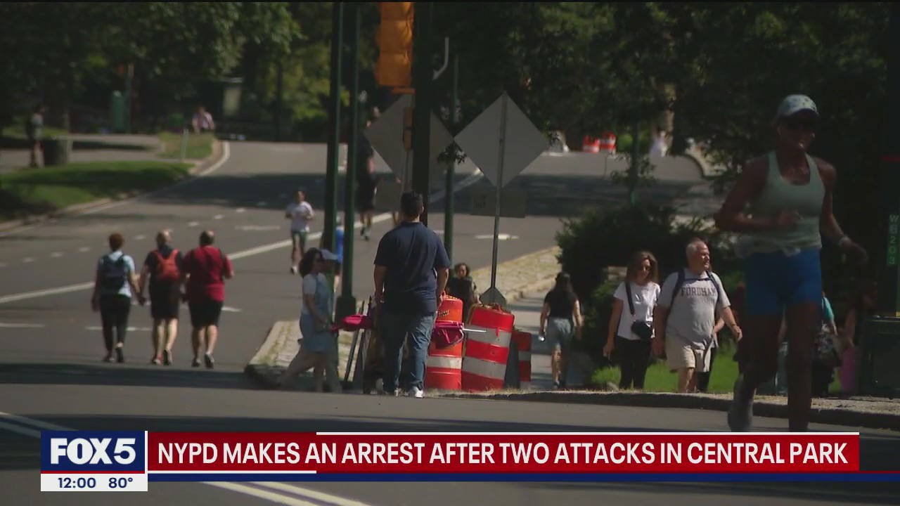Central Park attacks leave two men injured, police say