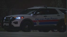 Retired police sergeant in Orland Park facing charges for alleged harassment