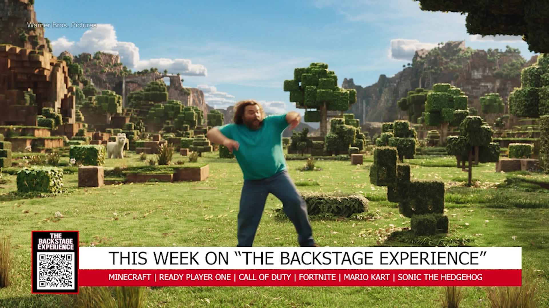The Backstage Experience: Minecraft, Sonic the Hedge & more!