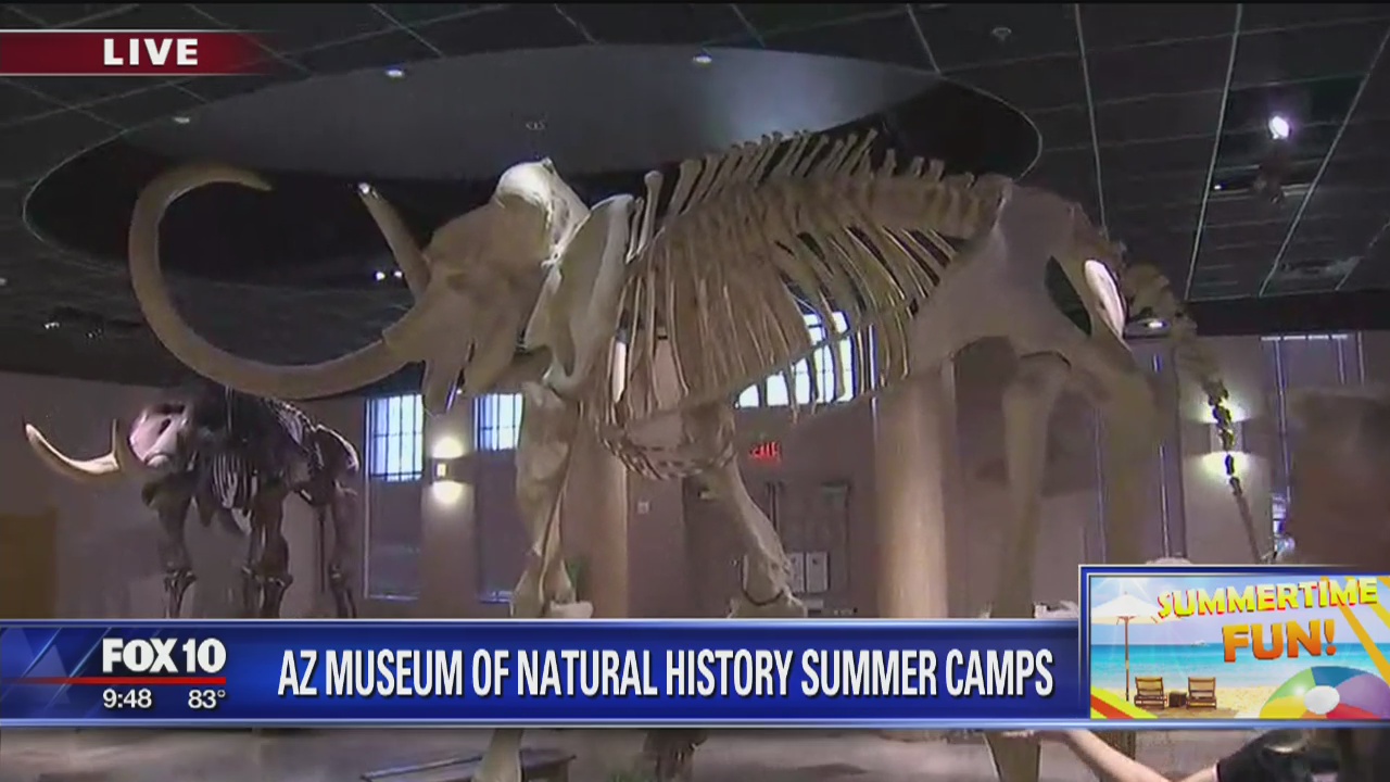 Cory's Corner: Arizona Museum of Natural History