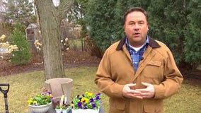 Garden Guy: Dale K has your April gardening checklist