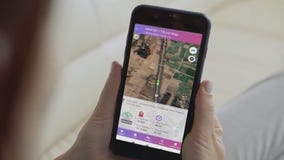 Relationship coach on tracking spouse