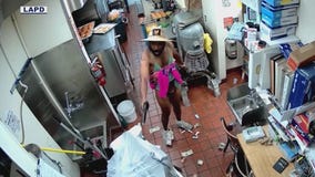 CA robbery suspect seen wearing bikini, sun hat