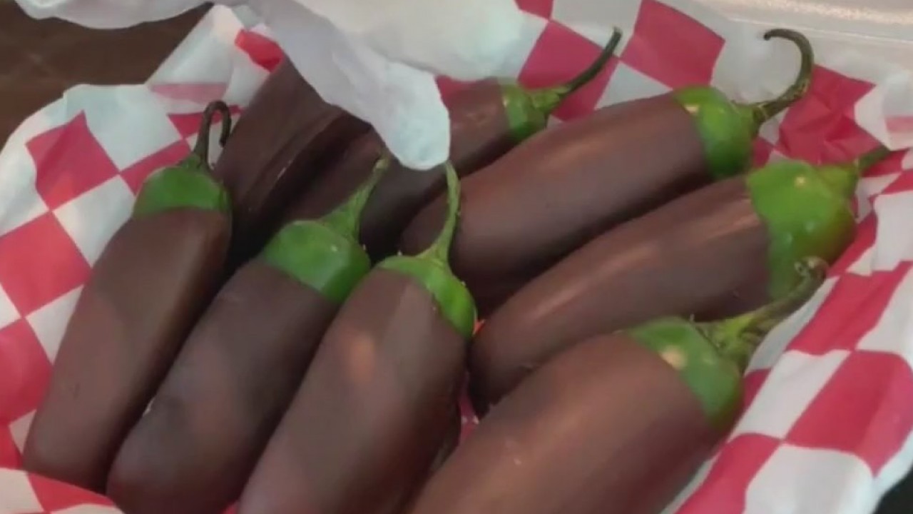 Bayou City Buzz: New Rodeo Foods