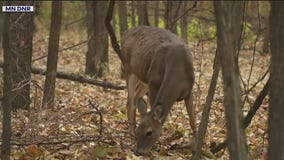 Changes for MN deer hunting season
