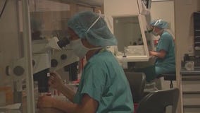 Hobbs urges legislature to pass contraception bill