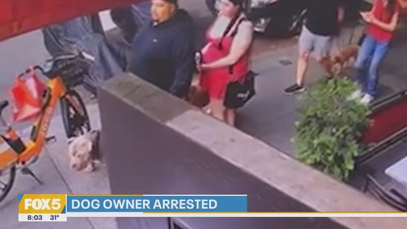 Tri-state prepares for snow, SantaCon returns, pit bull owner sent to jail | Good Day Weekend