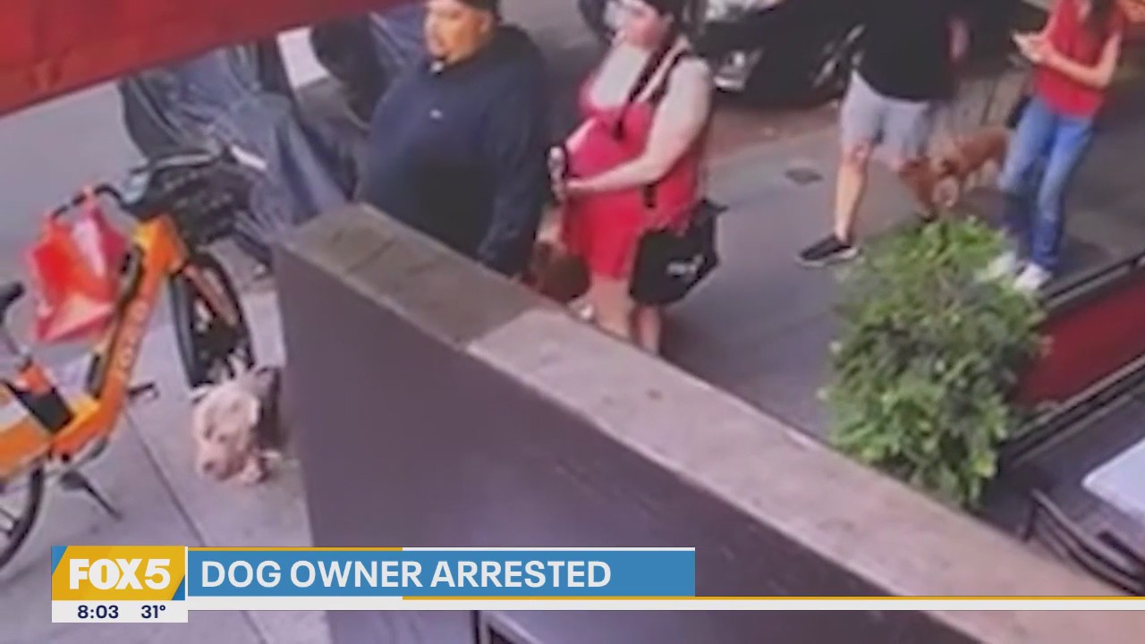 Tri-state prepares for snow, SantaCon returns, pit bull owner sent to jail | Good Day Weekend