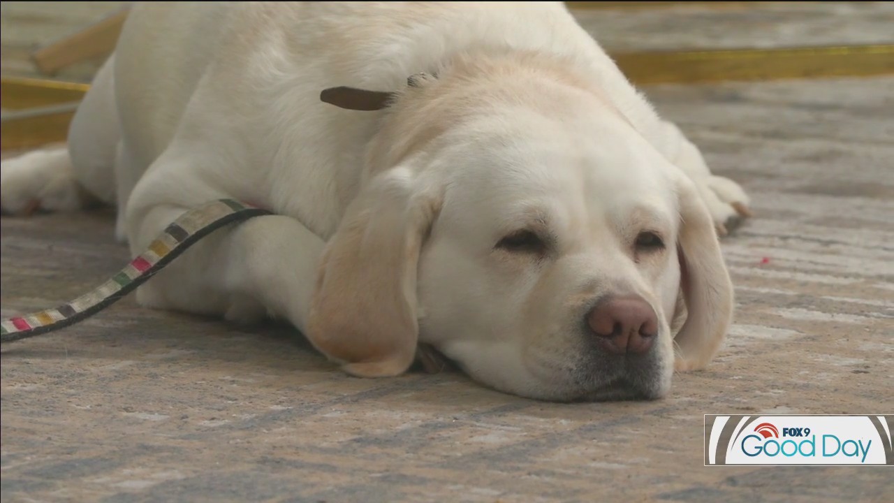 FOX 9 Good Day: Dec. 12, 2025