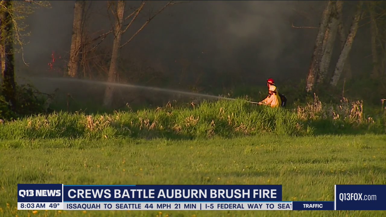 Crews battle Auburn brush fire