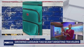 Theft-proof travel for your next trip