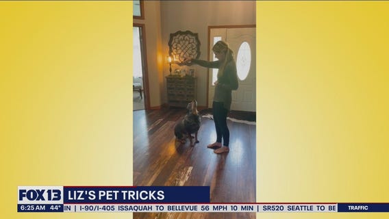 Liz's Pet Tricks for Thursday, May 19