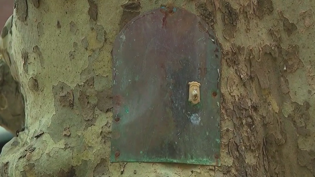 Tiny mystery in Brooklyn