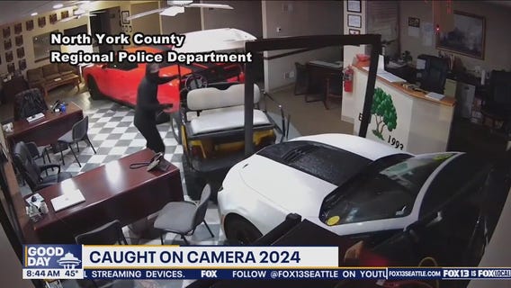 Top caught on camera moments 2024