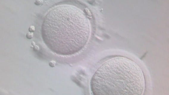 Birth control for men passes safety trial