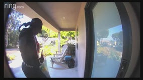 Burglars in Mar Vista posing as delivery drivers