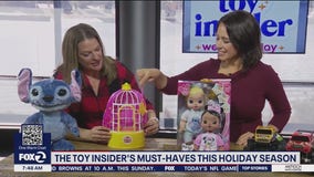 Shopping for toys this holiday season