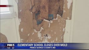 Prince George's County elementary school closes after mold found