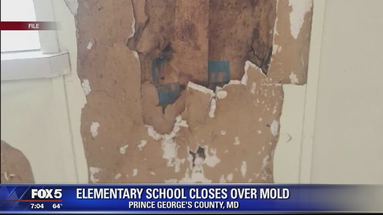 Prince George's County elementary school closes after mold found