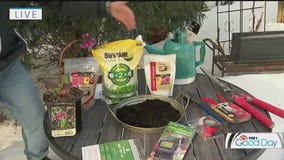 Garden basics for a successful garden