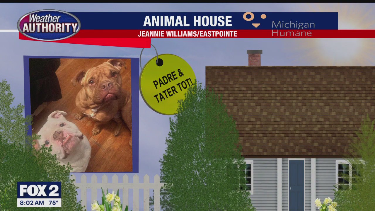 Welcome Padre, Tater Tot, Lucy, Capone