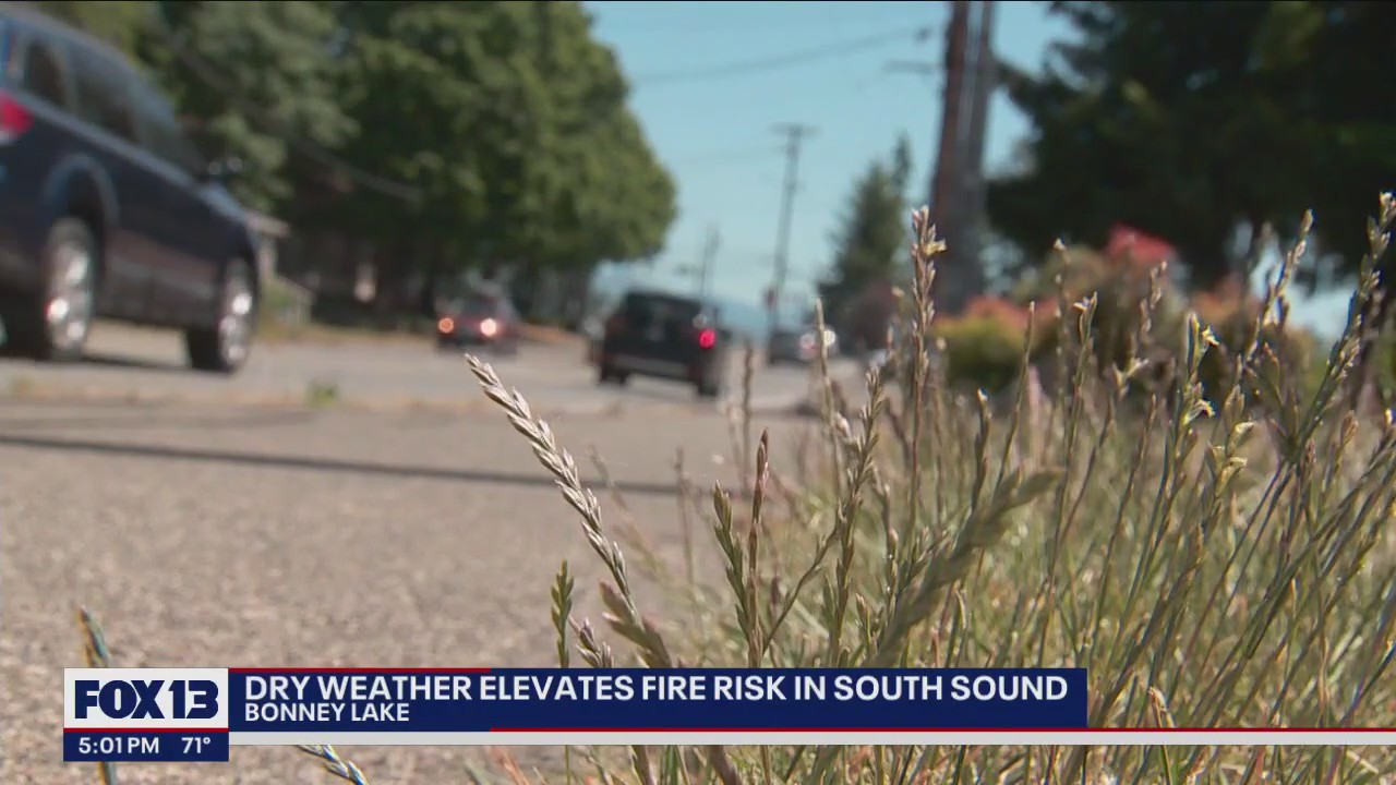 Dry weather elevates fire risk in South Sound | FOX 13 Seattle