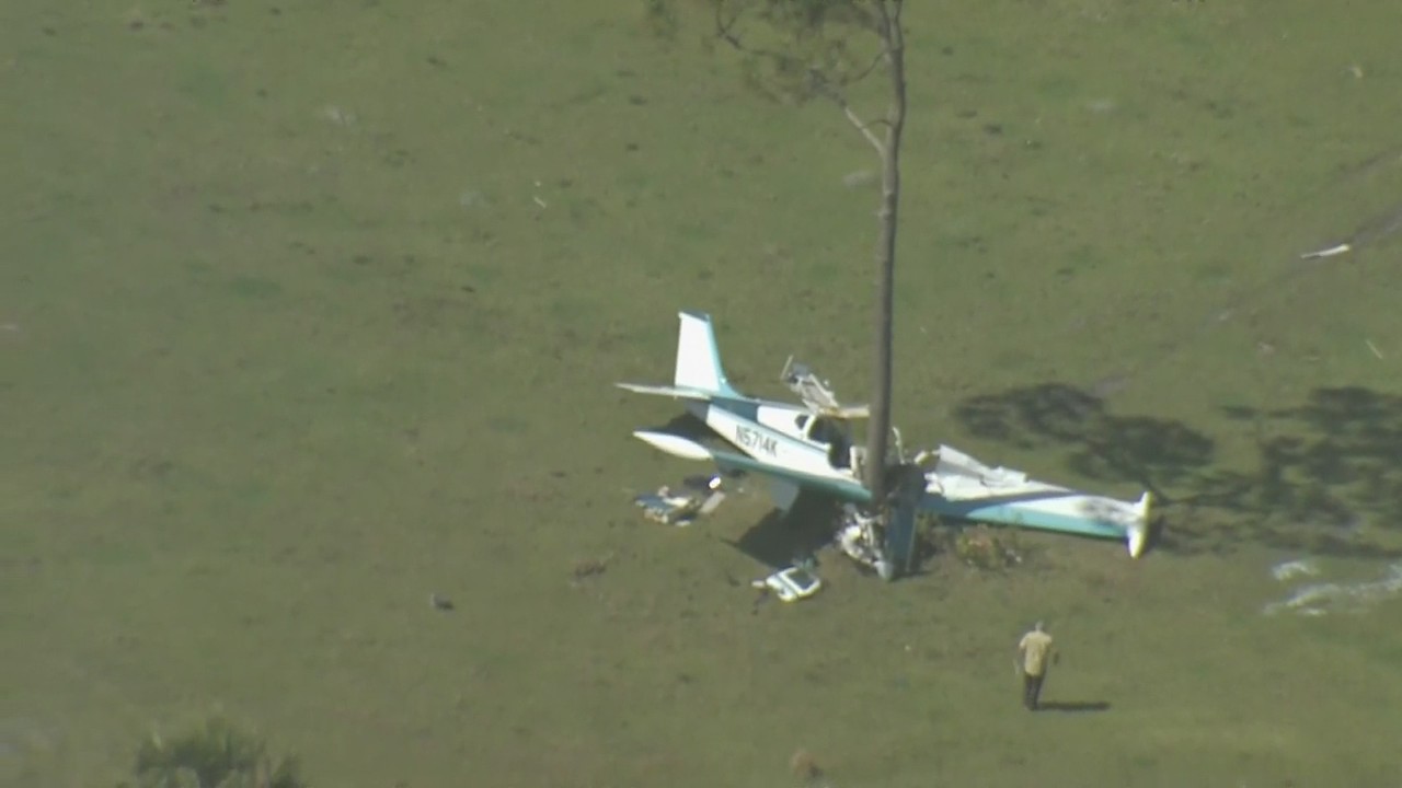 Plane nearly split in half after crashing into tree