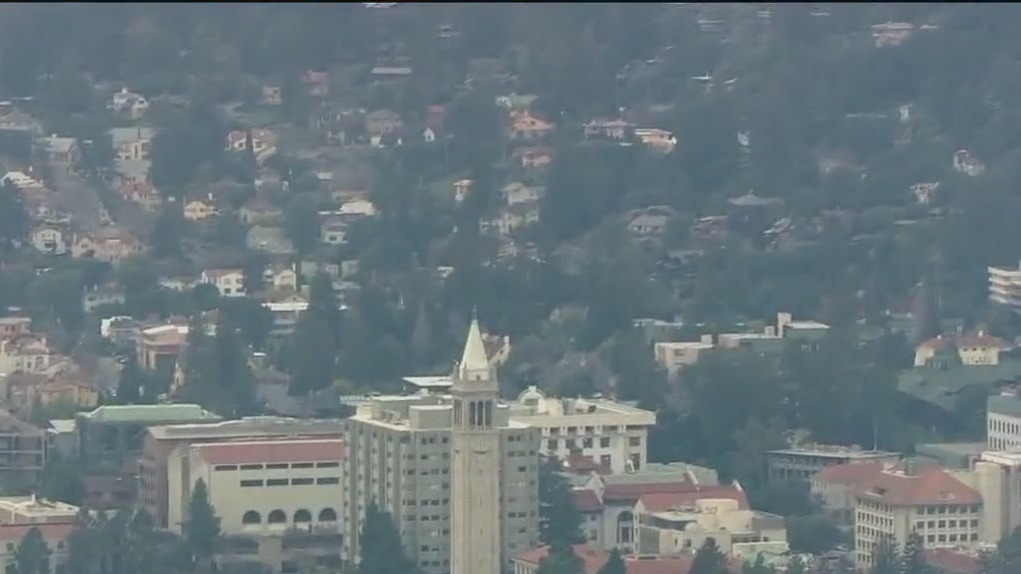 Cal apologizes to Israeli teacher; lecturer suspended for Gaza 'political activism'