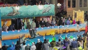 Galveston celebrating Mardi Gras - Bayou City Buzz