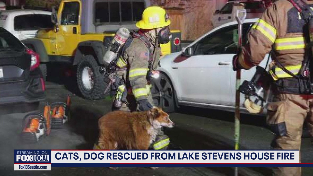 Cats, dog rescued from house fire in Lake Stevens, WA
