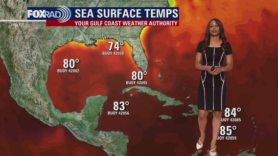 Tropical Weather Forecast - November 8, 2023