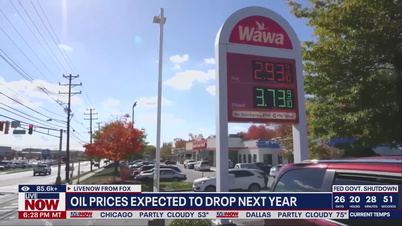 Oil prices expected to drop in 2026 | LiveNOW from FOX