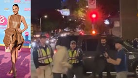 Fight breaks out near Gal Gadot's IDF movie screening