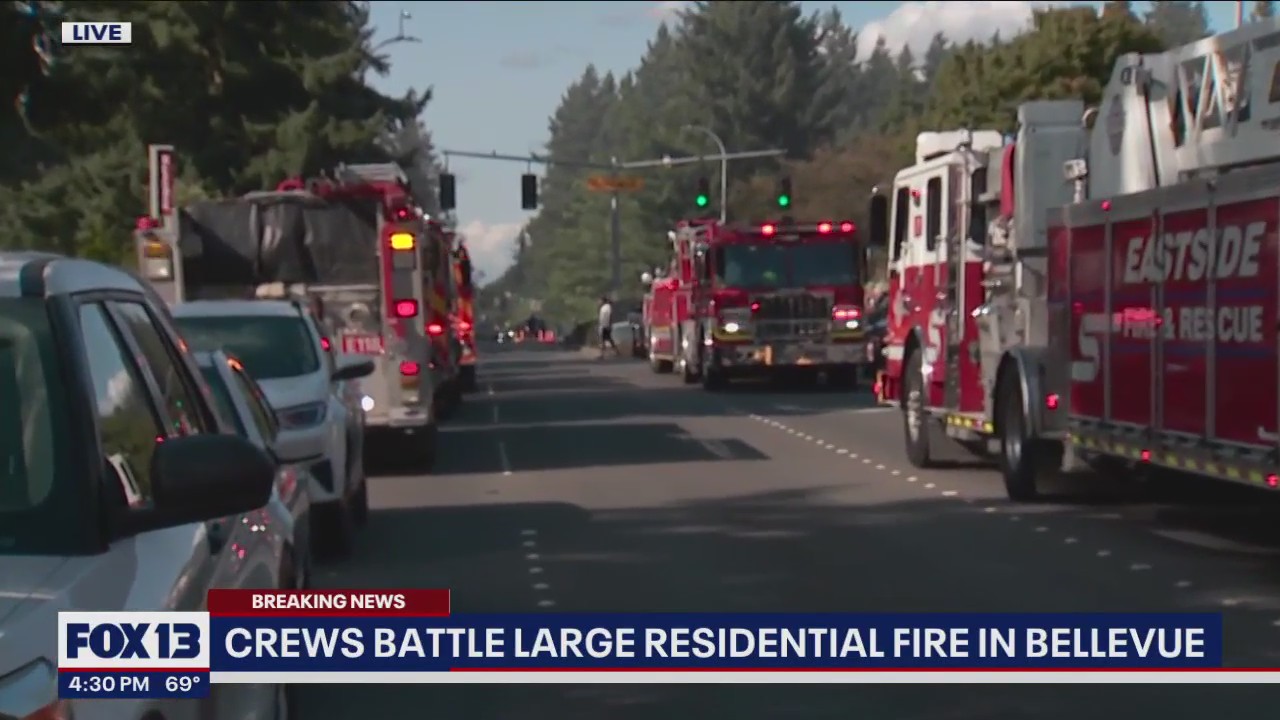 Crews respond to large fire at Bellevue apartment complex | FOX 13 Seattle