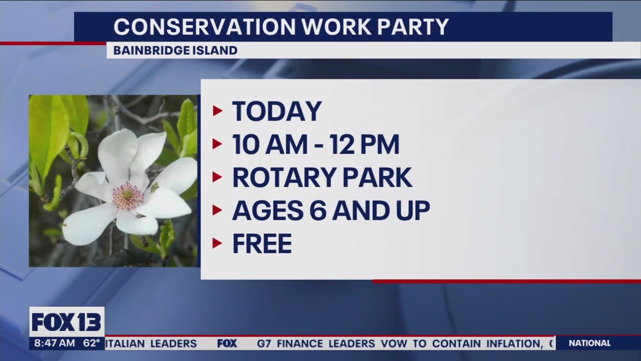 Family friends activities this weekend