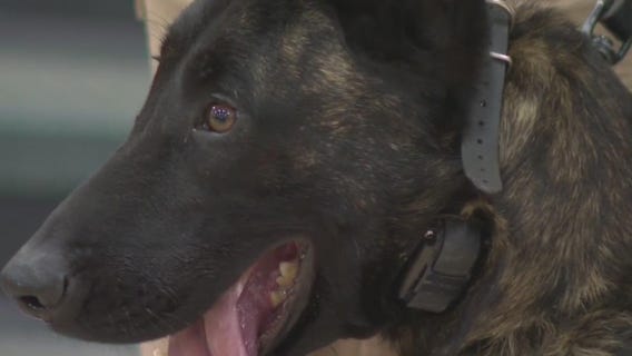 K-9 Jackson fundraiser, Waukesha siblings donate protective vest