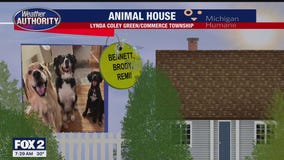 Welcome Bennett, Brody, Remi, Roxie, Rosie