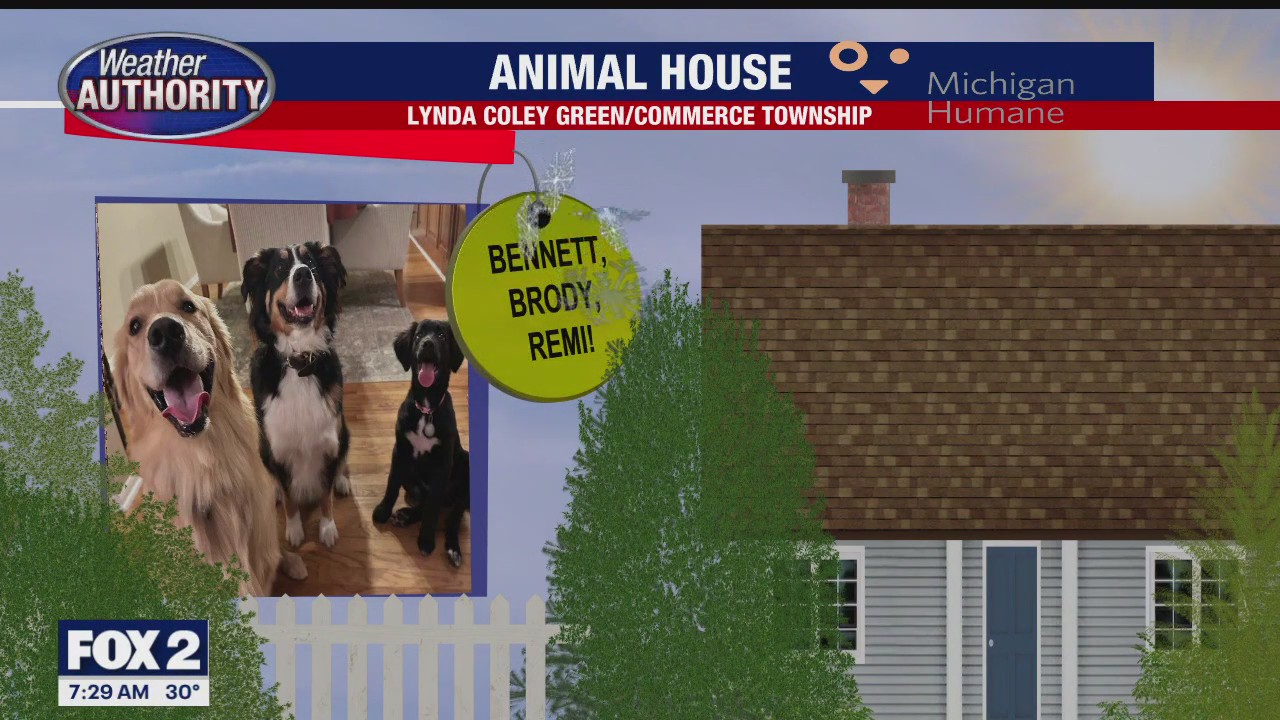 Welcome Bennett, Brody, Remi, Roxie, Rosie