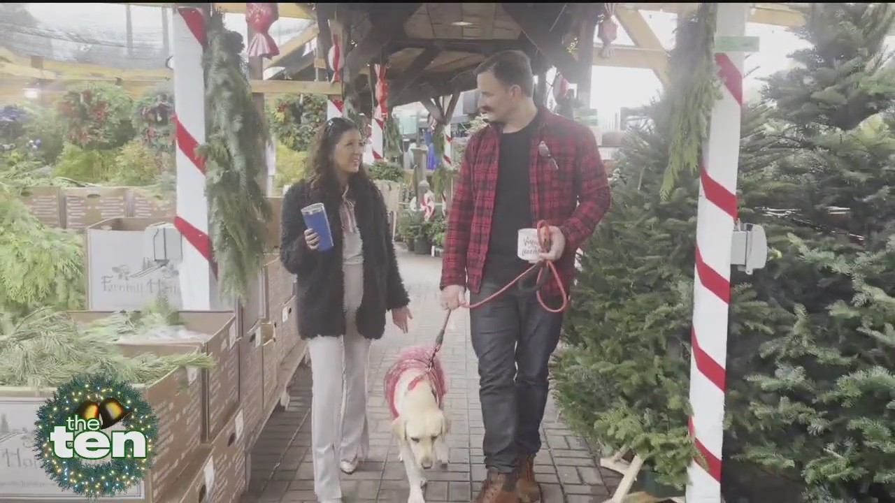 A Candy Canine Christmas | The Ten