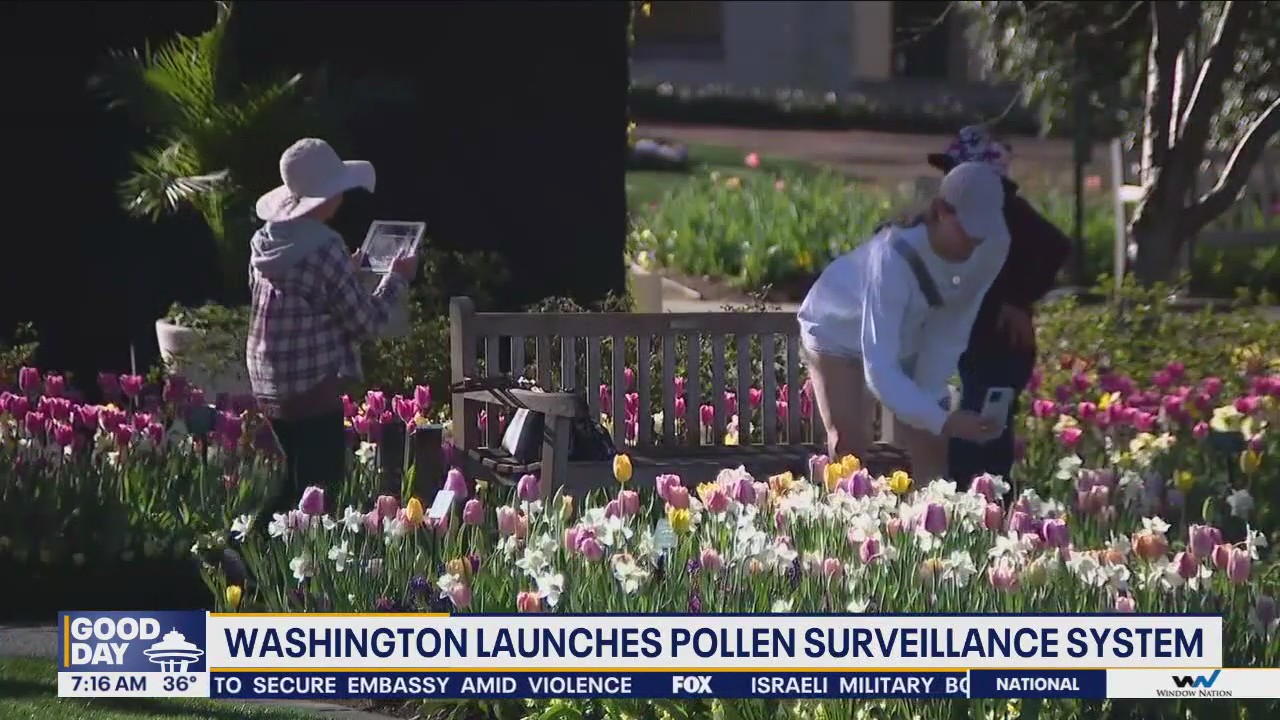 Washington launches pollen surveillance system