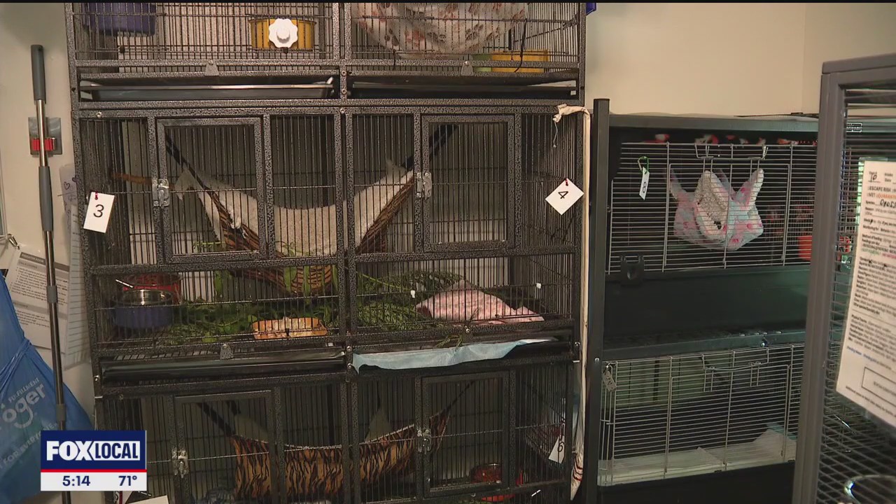 North Texas Wildlife Center gets new home in Plano