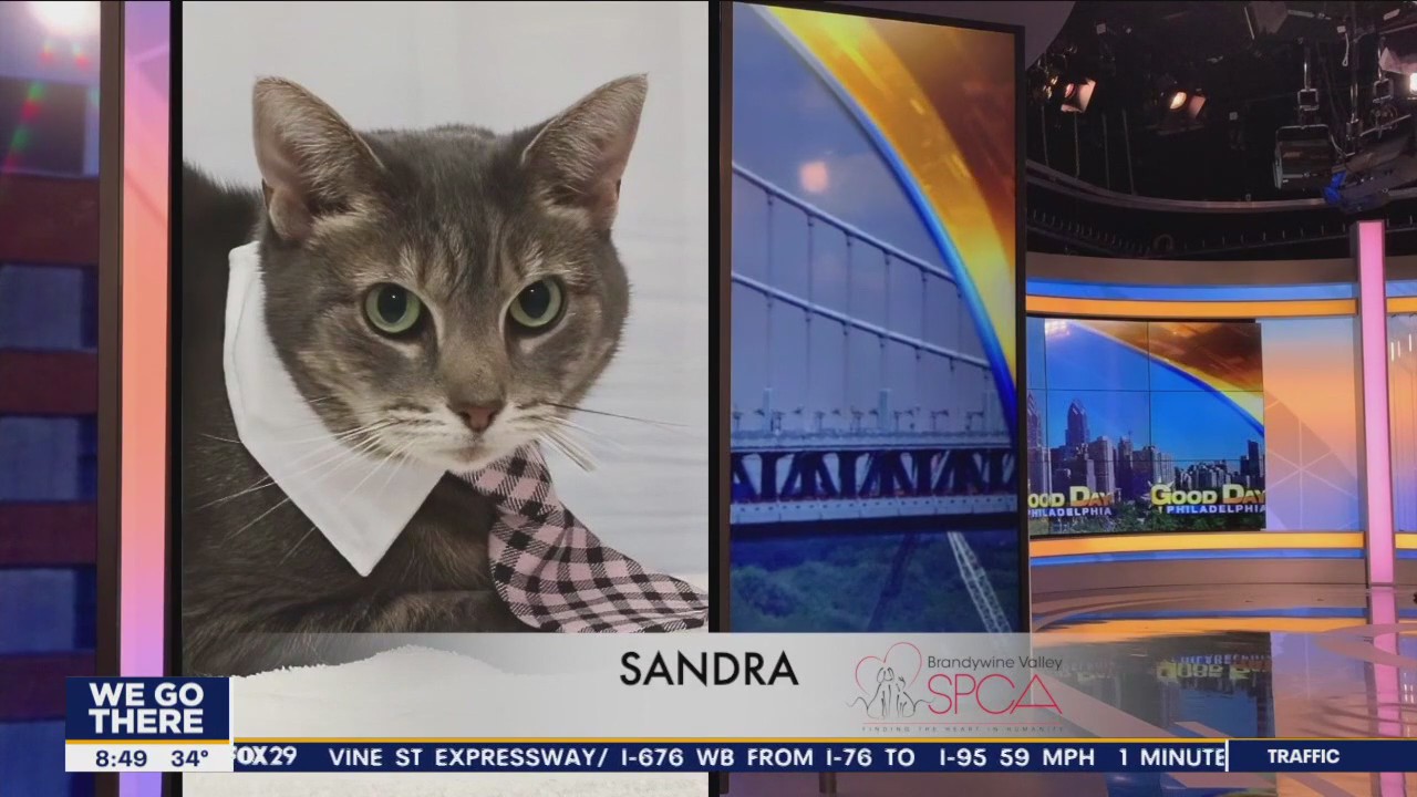 FurEver Home: January 22, 2023