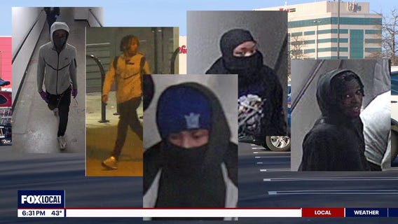 Suspects wanted after robbing 25 stores at Montgomery shopping center on Christmas: police